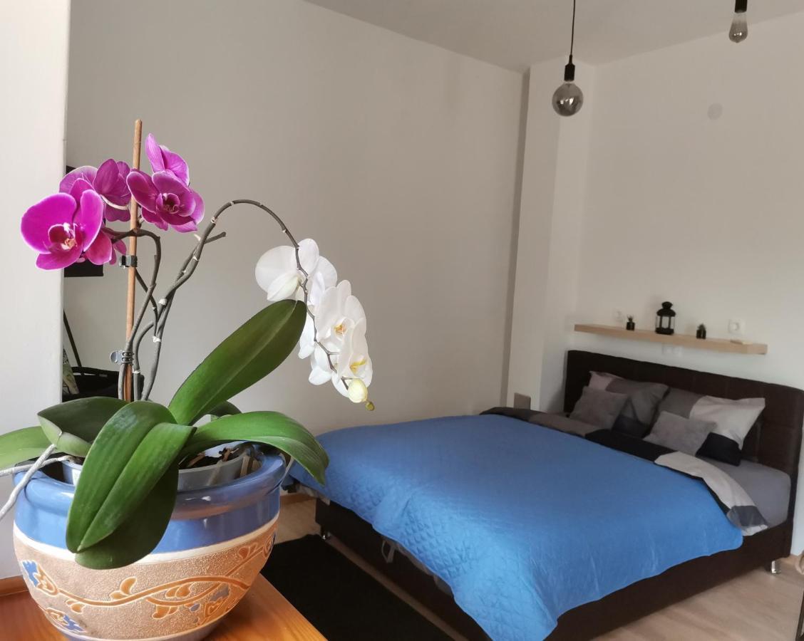 לובראן Apartments Sandra מראה חיצוני תמונה